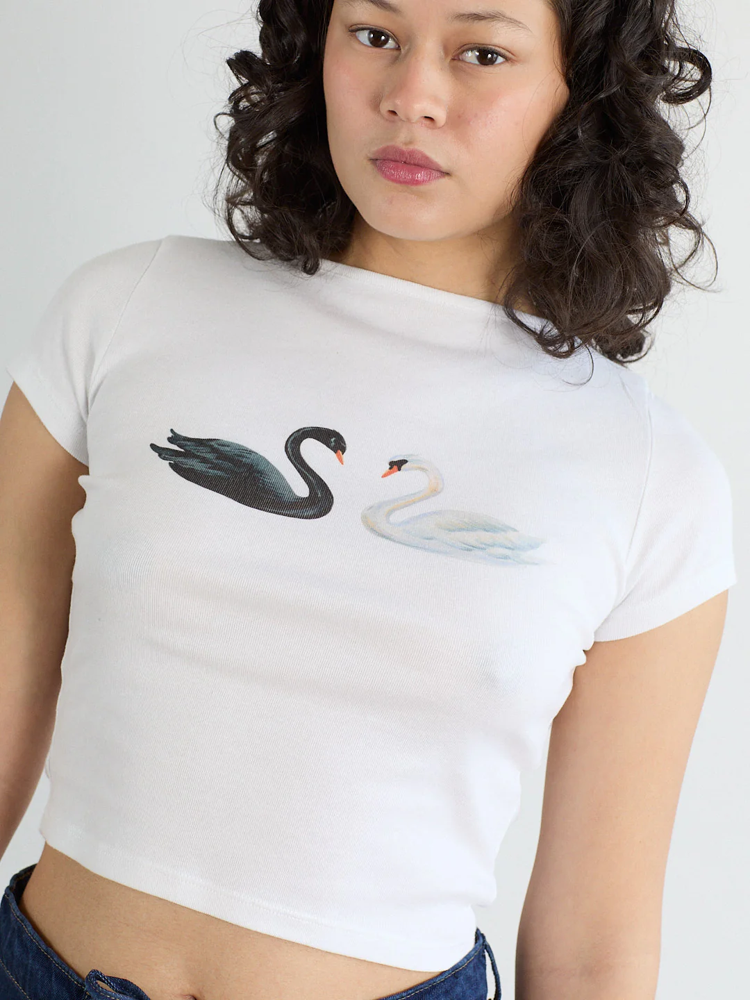 Alex Tee - Swans - Image 10